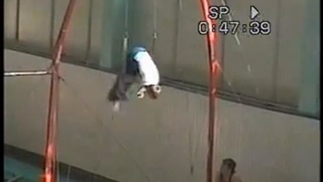 1 Взрослый разряд "А" по Спортивной гимнастике (муж) смотреть онлайн