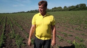 гербицидная обработка соя концепт