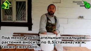 СМАРТ-СМЕСЬ ДЛЯ МГНОВЕННОГО УЛУЧШЕНИЯ ПЛОДОРОДИЯ ПОЧВЫ. Даже песок и глина начнут родить!