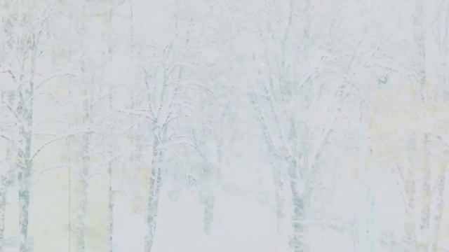 Winter Serenity: A Meditative Journey смотреть онлайн