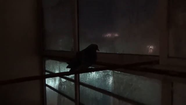 Рубрика Елены Карпухиной. смотреть онлайн