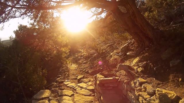 Путешествие по Старой Голицынской дороге. Каменная скамейка. Деревья тропы.(часть 2). смотреть онлайн