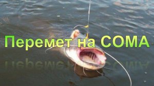 Перемёт на СОМА от А до Я.