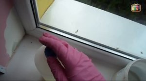 КАК ИЗБАВИТЬСЯ ОТ ГРИБКА НА СТЕНАХ