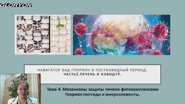 Часть 3. Печень и ЖКТ. Тема 4： Пептиды и микроэлементы для защиты печени