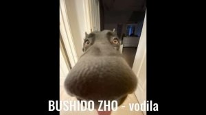 рандом кайф реп песни 2023 || песни из тиктока