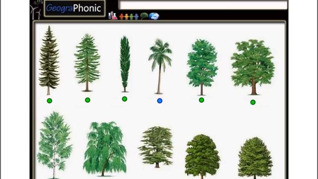 Types of common trees смотреть онлайн