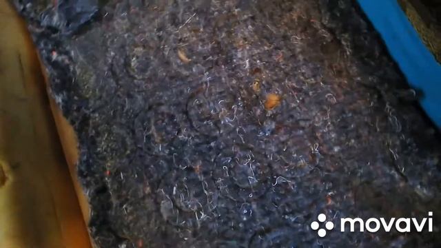Два древних кресла, замена пружинного блока.