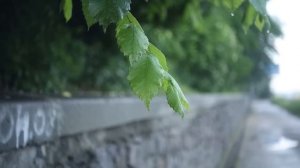 Обзор "Индустар 50-2" на Сanon 5D Mark 3