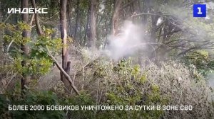 Более 2000 боевиков уничтожено за сутки в зоне СВО