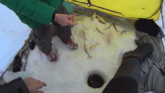Рыбачка Соня. Рыбалка со льда на мормышку. Ловля сороги (плотвы). Fishing in the North. смотреть онлайн