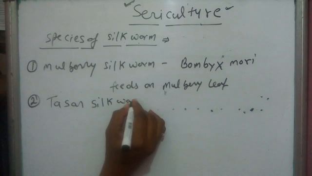 Sericulture part1,silk,lepidoptera,chrysalis,pupa, caterpillar,fibroin,sericine,bombyx mori,insect