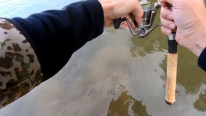 Дністер.  Сом на 5 700. (st.croix avid 66mlf2)