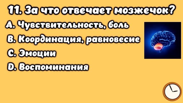 НАСКОЛЬКО СТАР ВАШ МОЗГ? ТЕСТ НА ЭРУДИЦИЮ #24 #эрудиция #викторина #тестнаэрудицию