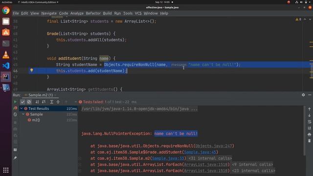 Effective Java | Item 38 | Check parameters for validity смотреть онлайн