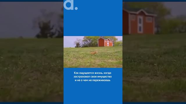Как ощущается жизнь, когда застраховал своё имущество