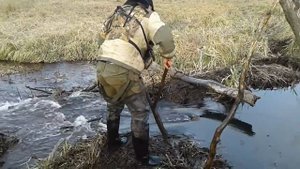 Ломаем бобровую платину.