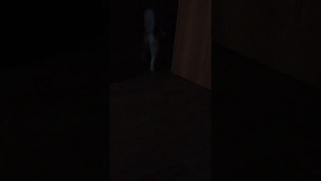 Утренние игры хасей / хаски/ Новосибирск смотреть онлайн