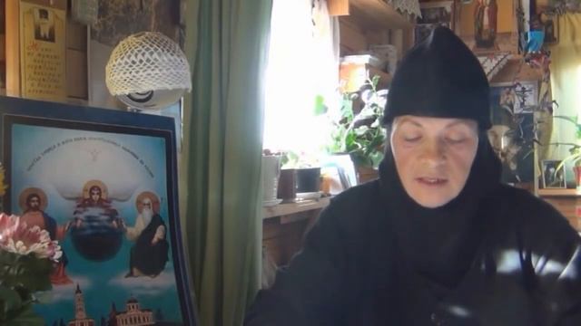 О НЕПОМИНАЮЩИХ ПАСТЫРЯХ. МОНАХИНЯ ИРИНА - Часть 2.