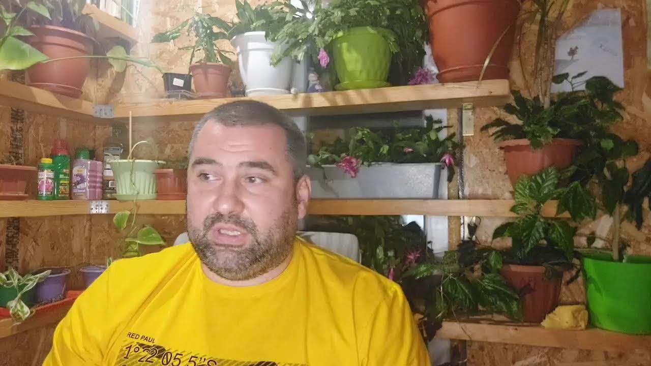 новости канала