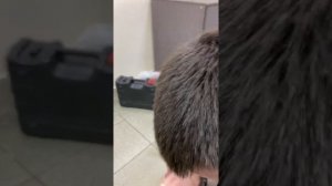 Штроборез Felisatti