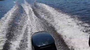 кайман 300 и tohatsu 9,8