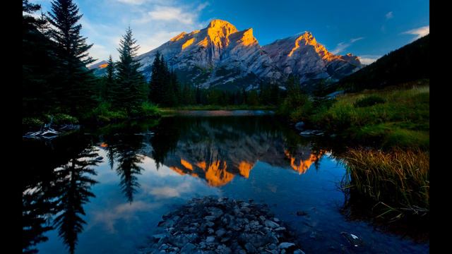 КисСА - Еду-еду (кавер Чиж) смотреть онлайн