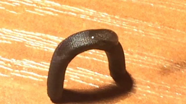 сетка mesh 400 смотреть онлайн