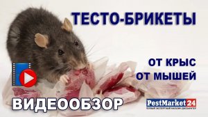 Тесто-брикеты от грызунов. Профессиональное, эффективное средство от крыс и мышей. ВИДЕООБЗОР