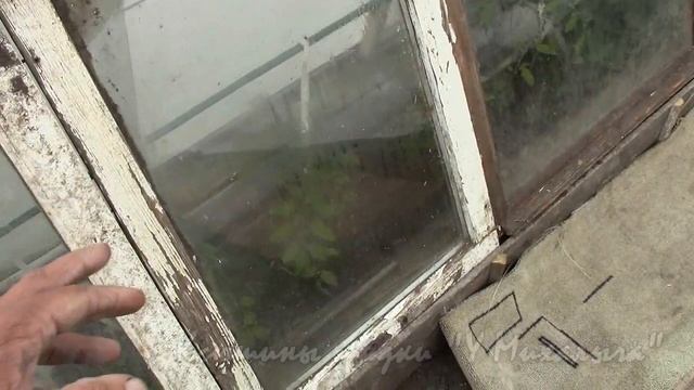 НА МАЙСКОЙ ДАЧЕ Когда нибудь это закончится. смотреть онлайн