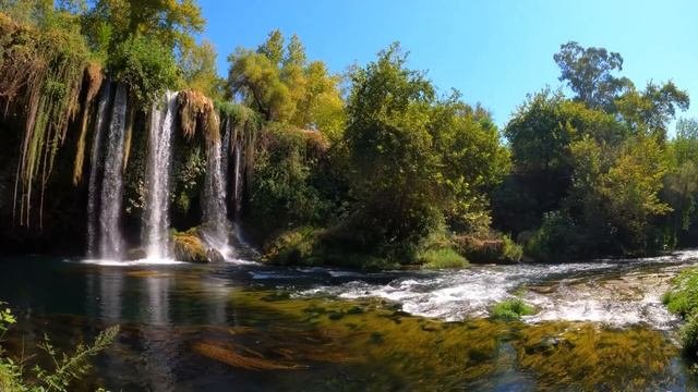Музыка для души, пение птиц [Soothing Music]