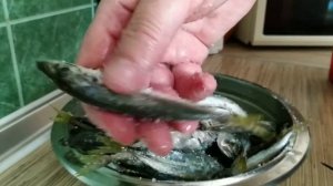 Жарю черноморскую ставридку это́ очень просто