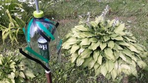 Как работает флюгер-вертушка из двух пластиковых бутылок
