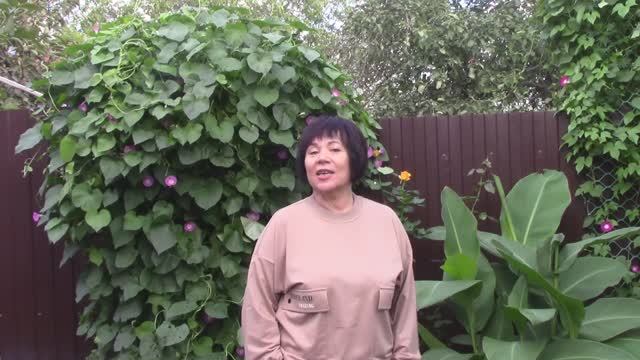 Топ 5 лиан, которые Вас не подведут.mp4 смотреть онлайн