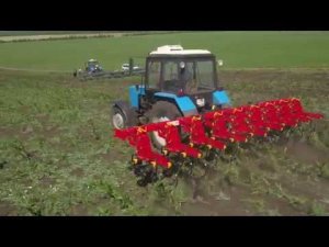 Культиватор универсальный пропашной КУП 5,6 (Агропромтехника)