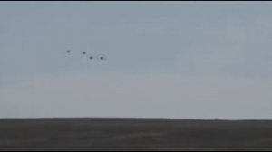 Охота на водоплавающую дичь. Охота в степи