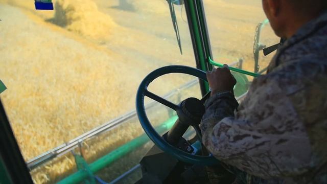 Реклама магазина мясных изделий Провинция. Солгон. смотреть онлайн