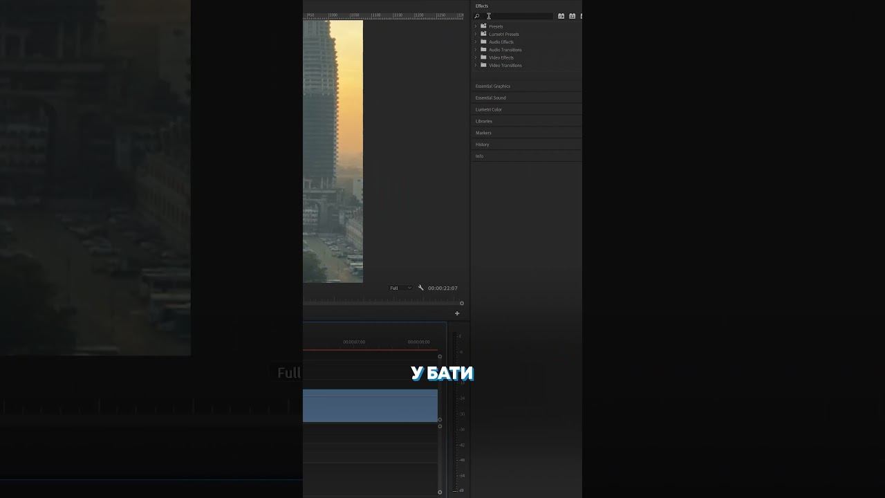 Эффект Transform для анимации видео. #монтажвидео #премьерпро #макарийпро