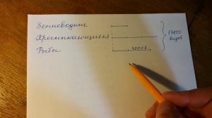 Математика 4 - 5 класс. Задача.