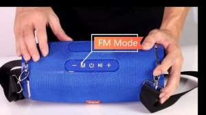 Portable Bluetooth Speaker T&G TG-187 / Портативная Bluetooth колонка T&G TG-187
