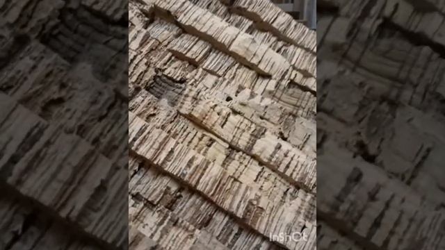 ИЗУЧАЕМ ПРОБКУ ВМЕСТЕ. ПРОБКОВАЯ КОРА - ЭКЗОТИКА ДЛЯ СТЕН  #декорстен #пробка #отделкастен