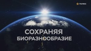 Сохраняем уникальные экосистемы регионов присутствия