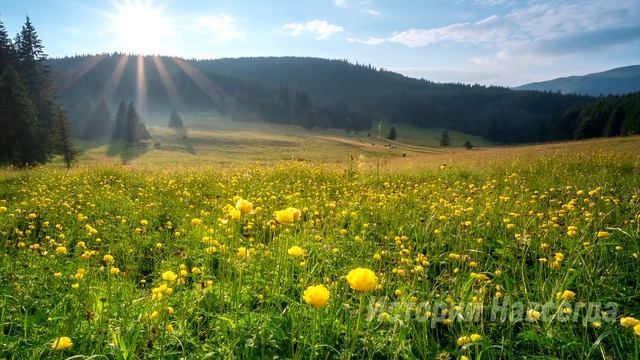 Как родителям помочь - так нет, а для себя сразу нашли… смотреть онлайн