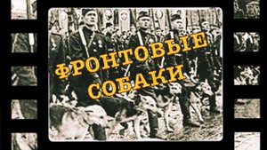 Фронтовые собаки. В память о тех, кто участвовал в Великой Войне.