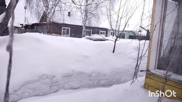Сегодня день гостей