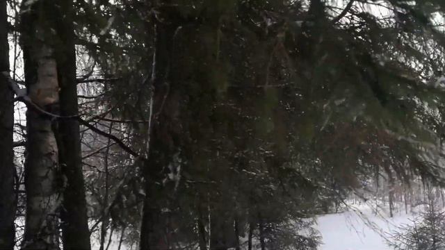 Чем меня удивил национальный центр по исследованию снега и льда.  Или забавные размышления о снеге.