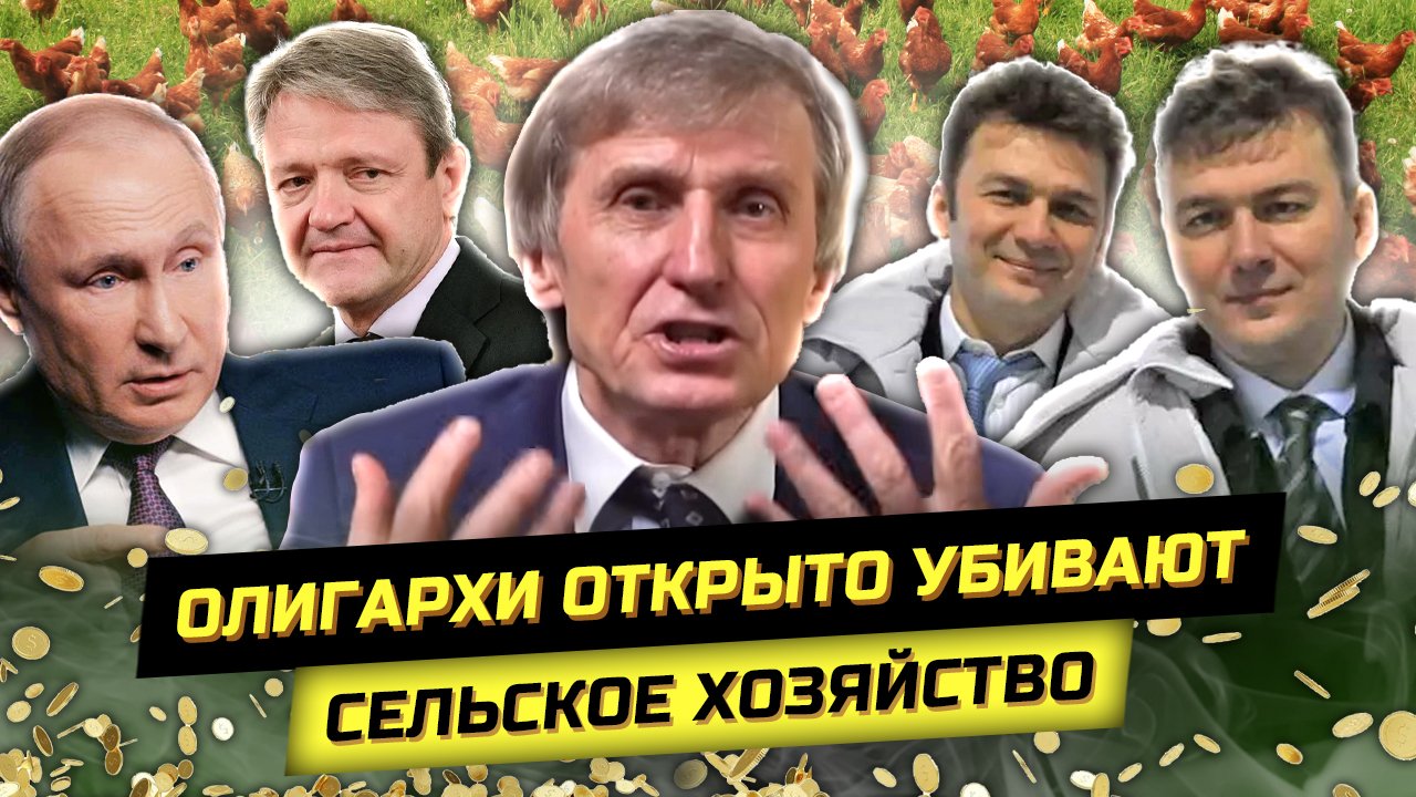 Набат запрет на птицеводство с 2025 года. Набат запрет на птицеводство с 2025 года. Набат запрет на птицеводство с 2025 года. Набат запрет на птицеводство с 2025 года. Работник птицефабрики.