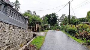 Heavy Rain in my Village in Indonesia, very cool, sleep soundly because of heavy rain in the villag