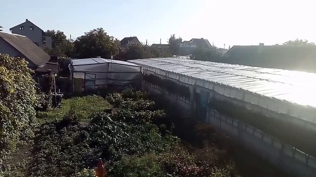 Не хочу учиться, а хочу... смотреть онлайн