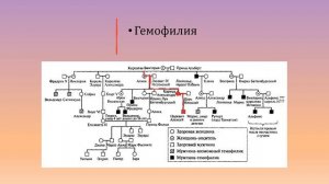 10 класс. Биология. Наследственные болезни человека